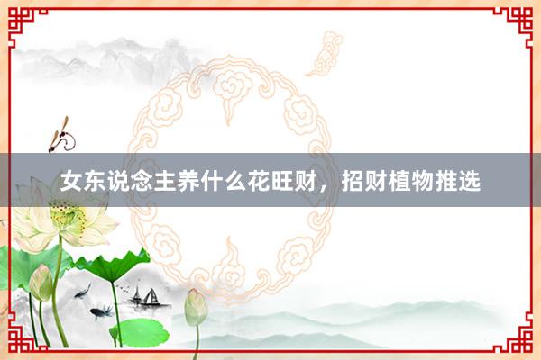 女东说念主养什么花旺财，招财植物推选