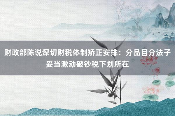 财政部陈说深切财税体制矫正安排：分品目分法子妥当激动破钞税下划所在