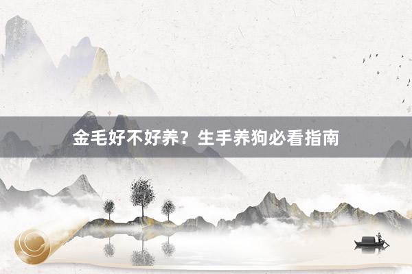 金毛好不好养？生手养狗必看指南