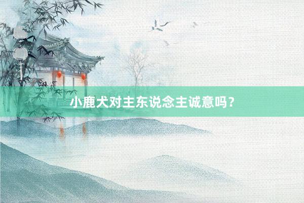 小鹿犬对主东说念主诚意吗？