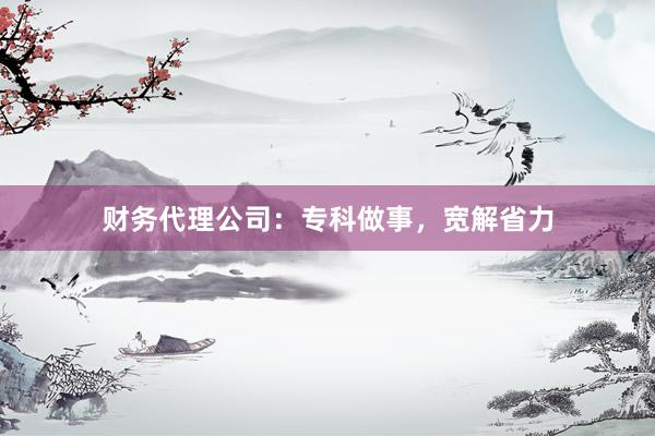 财务代理公司：专科做事，宽解省力